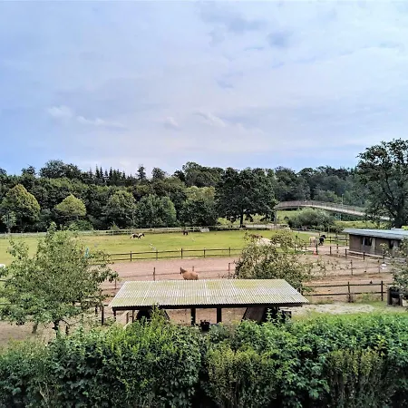 21 - Strandlaeufer *